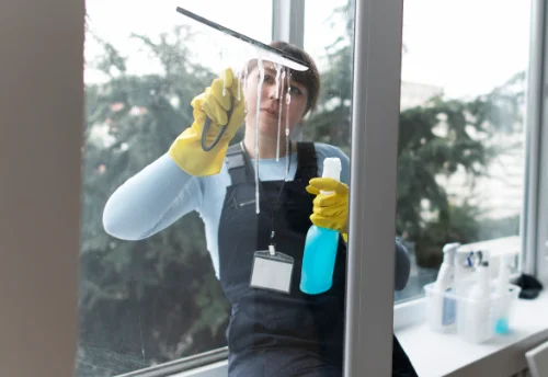 Nettoyage de vitres intérieures et extérieures à Barry-d'Islemade